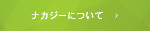 ナカジーについて