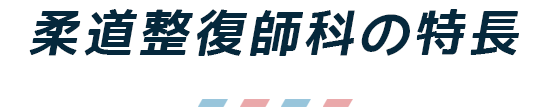 柔道整復師科の特長